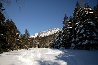 �s�ҏ���������Z�˂ցA�哯�S