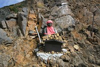 ���n���l