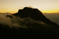 �閾���̈���Ɋx