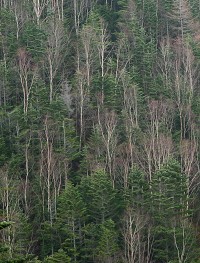 �_�P�J���o