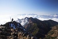 �R���̓W�]