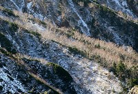 �_�P�J���o