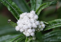 ���}�n�n�R