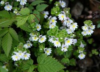 �~���}�R�S���O�T