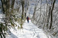 �o�R�����s��