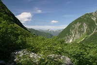 �����O�����V���x