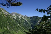 �p�m���}�R�[�X���瑄���x