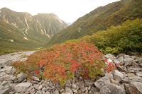 �i�i�J�}�h