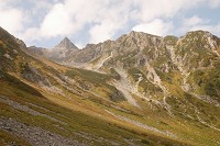 �V��r��O���瑄