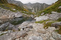 �V��r�ɉf�鑄