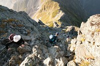 ��L���b�g�����鎄