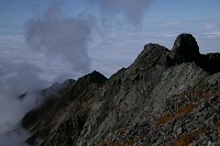 �W�����_����