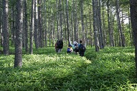 �J���}�c��