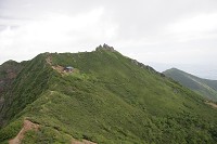 �R����U��Ԃ�