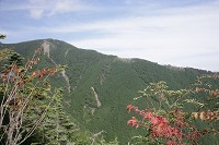 �A�g�m����