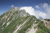 �L���b�g����ܗ���U��Ԃ�