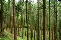 �o�R������