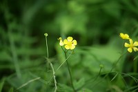 �~�c�o�c�`�O��