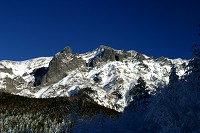 ���x�哯�S