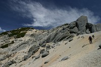 ����֌����ēo��