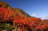 ����J�[����O�̍g�t