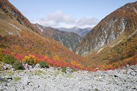 ���򂩂�W�]