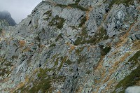 �I���q����������