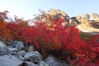 ���t�߂̍g�t