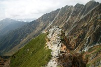 �d���Y�V��������