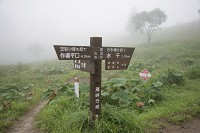 �哻�ւ̕���