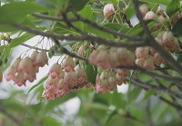 �T���T�h�E�_���c�c�W