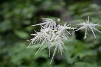 ���}�u�L�V���E�}