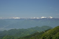 �����x�����A���v�X