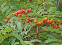 �i�i�J�}�h