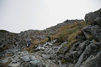 �k�䍂������