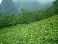 �E���R�[�X���Ԕ�