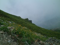 �����Y�������s��