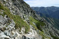 �k�䍂��ł�o�鎄