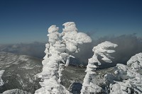 �����X�^�[