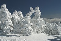 �����X�^�[