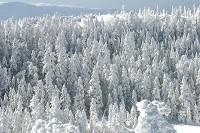 ���X�����̐���