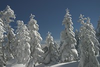 �\���˂��������X����