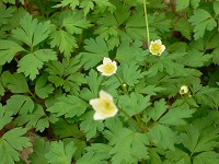 �j�����\�E