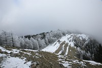 �R���ɂ�������O