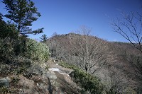 �R���t�߂�U��Ԃ�