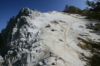 ������僖��