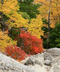 �W�]��̉��t