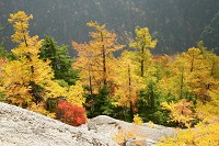 �W�]��̉��t