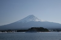 �͌��ΔȂ���x�m�R