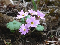 �~���E�M�R�U�N��